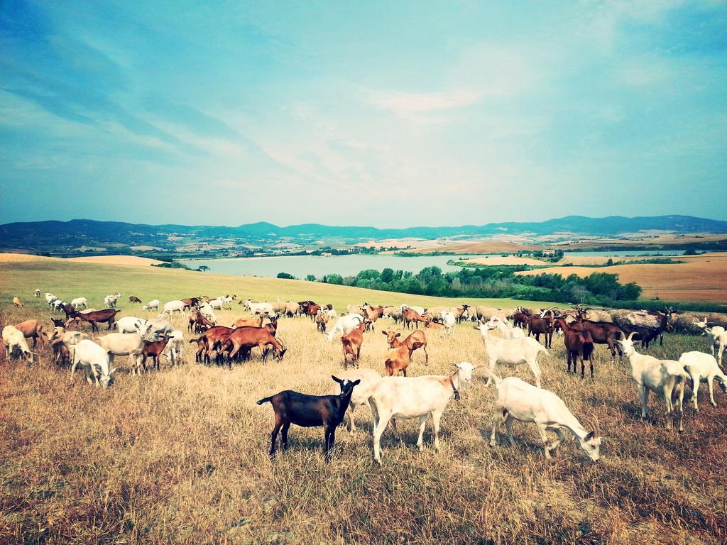 Agriturismo L'Impero サンタ・ルーチェ エクステリア 写真