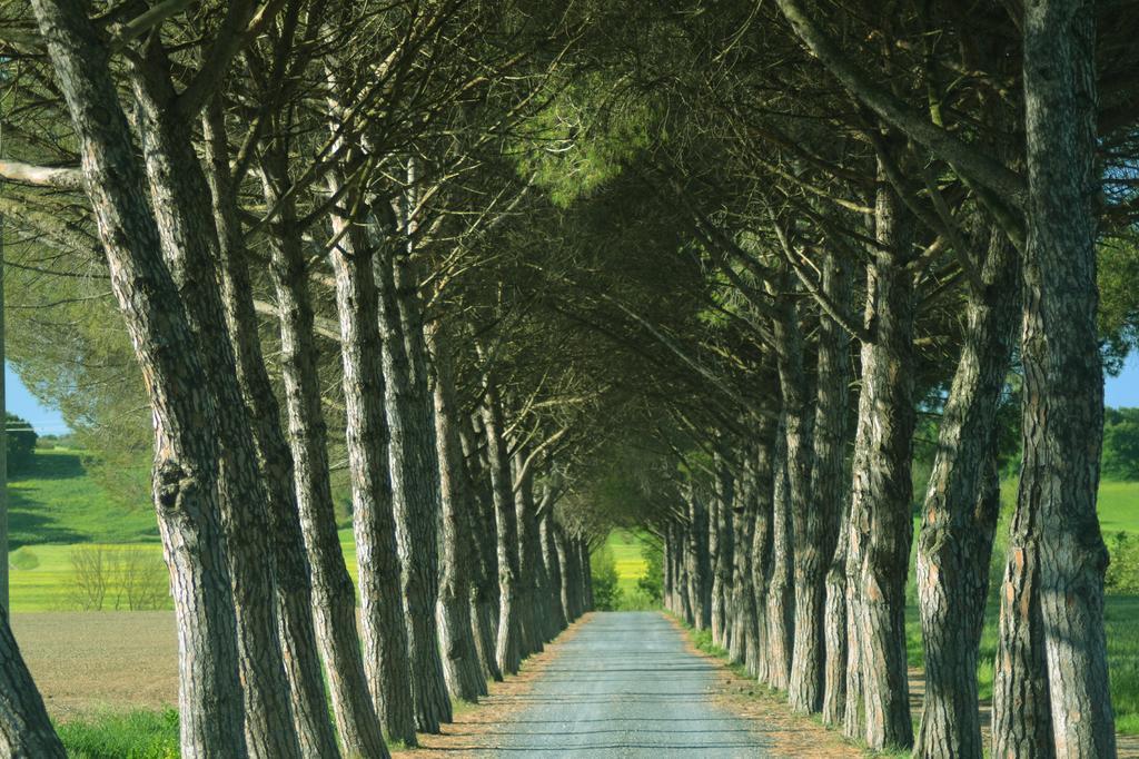 Agriturismo L'Impero サンタ・ルーチェ エクステリア 写真