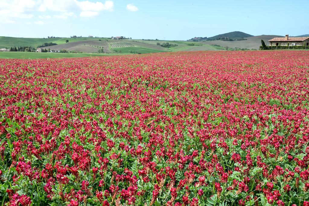 Agriturismo L'Impero サンタ・ルーチェ エクステリア 写真